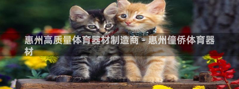 z6尊龙凯时官方