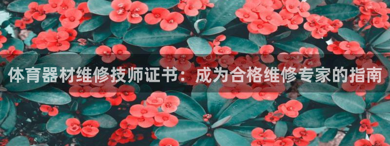 尊龙凯时不给提现怎么办：体育器材维修技师证书：成为合