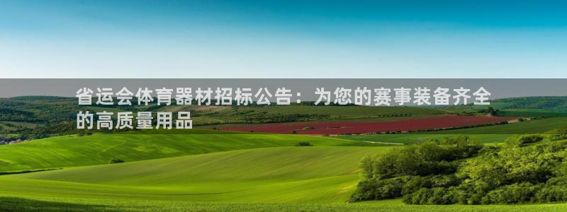 K66凯时国际平台官网：省运会体育器材招标公告：为您