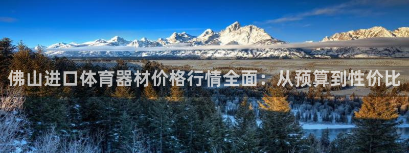 尊龙人生就是博菲律宾台子：佛山进口体育器材价格行情全