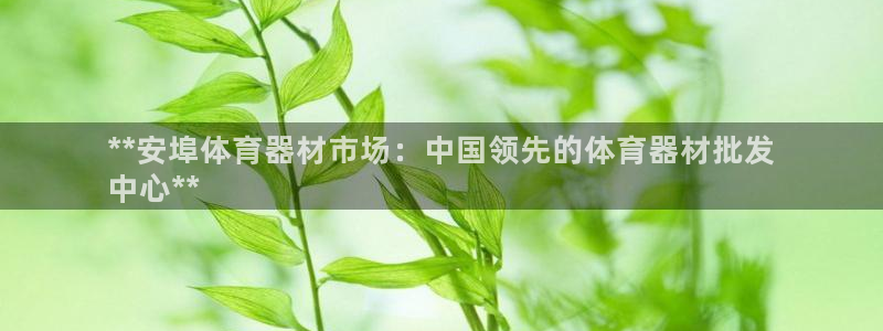 尊龙AG旗舰厅官网：**安埠体育器材市场：中国领先的