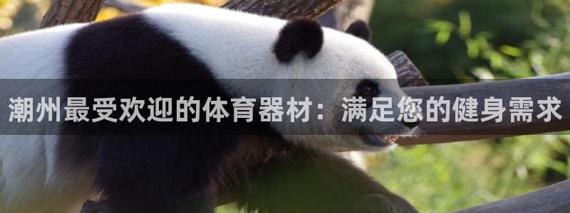 尊龙凯时 人生就是搏!：潮州最受欢迎的体育器材：满足