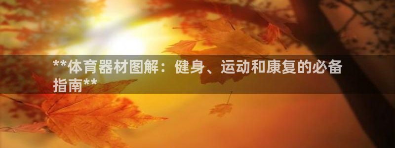 d88尊龙手机客户端下载：**体育器材图解：健身、运