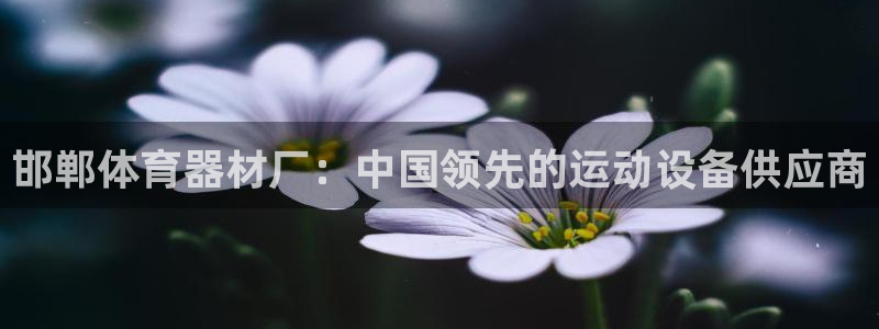 尊龙APP客户端平台：邯郸体育器材厂：中国领先的运动