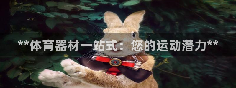 尊龙d88官网登录：**体育器材一站式：您的运动潜力