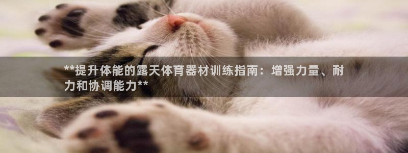 凯时尊龙平台登录：**提升体能的露天体育器材训练指南