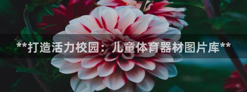 尊龙凯时官网网页版：**打造活力校园：儿童体育器材图