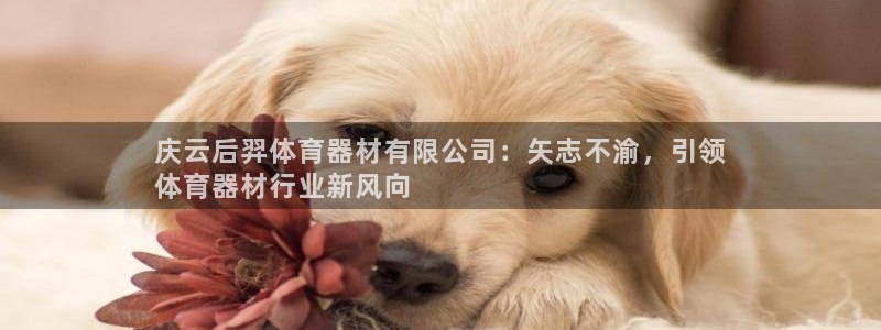 尊龙凯时是不是合法：庆云后羿体育器材有限公司：矢志不