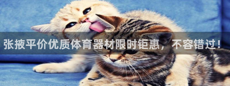 尊龙官网地址：张掖平价优质体育器材限时钜惠，不容错过
