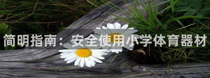 尊龙app最新版本官网：简明指南：安全使用小学体育器