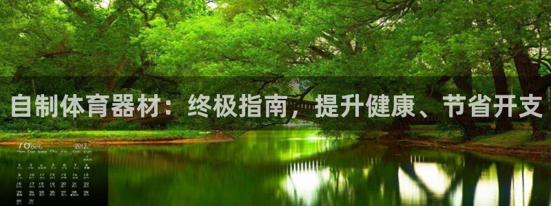 尊龙凯时产品种类：自制体育器材：终极指南，提升健康、
