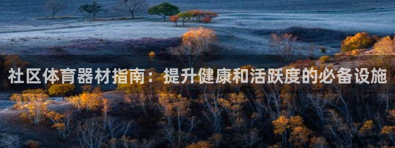 尊龙凯时有没有出不了款的情况：社区体育器材指南：提升