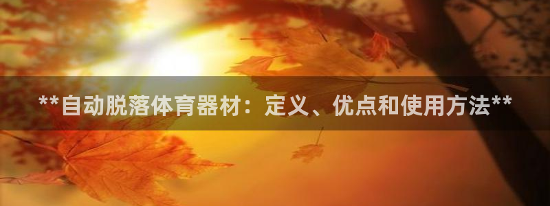 尊龙ag旗舰厅登录 租车app下载：**自动脱落体育