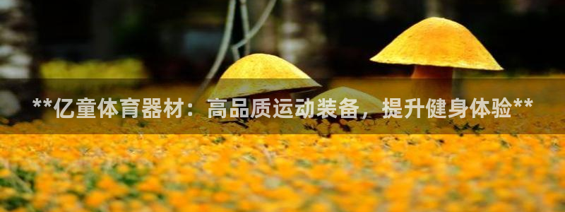尊龙现金一下S选来就送38：**亿童体育器材：高品质