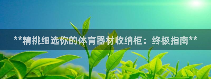 尊龙凯时开发：**精挑细选你的体育器材收纳柜：终极指