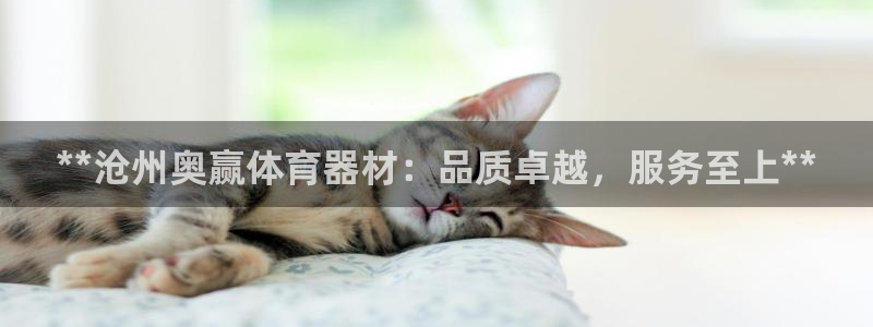 尊龙400：**沧州奥赢体育器材：品质卓越，服务至上