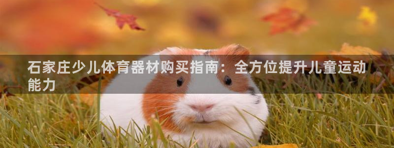 尊龙凯时官方网站：石家庄少儿体育器材购买指南：全方位