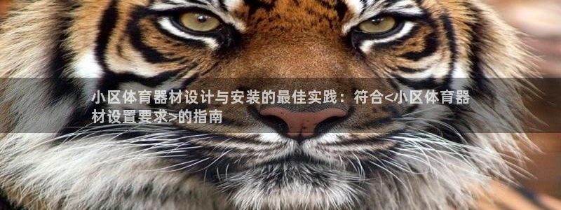 尊龙z6官网ag：小区体育器材设计与安装的最佳实践：