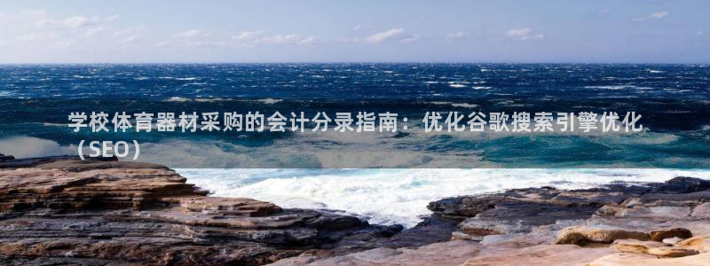 尊龙科技：学校体育器材采购的会计分录指南：优化谷歌搜