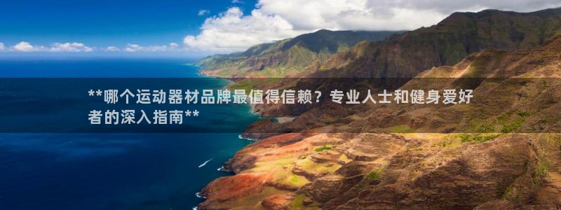 尊龙凯时赢不了：**哪个运动器材品牌最值得信赖？专业