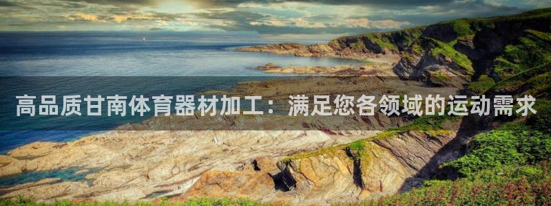 尊龙凯时下载官方正版：高品质甘南体育器材加工：满足您