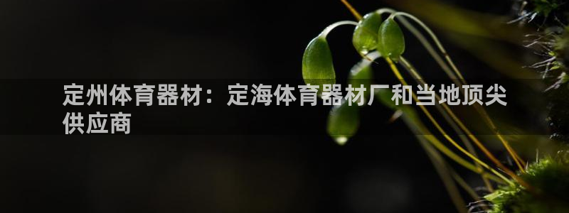 尊龙官方网站最新版V9.3.06：定州体育器材：定海