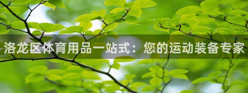 尊龙凯时俱乐部：洛龙区体育用品一站式：您的运动装备专