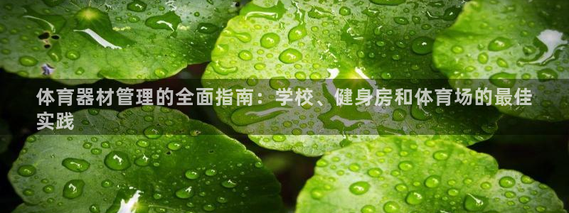 尊龙新版人生就是博!：体育器材管理的全面指南：学校、