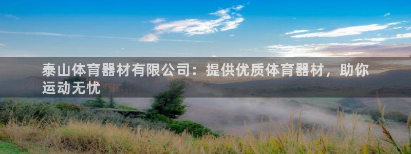 尊龙集团有限公司是国企吗：泰山体育器材有限公司：提供