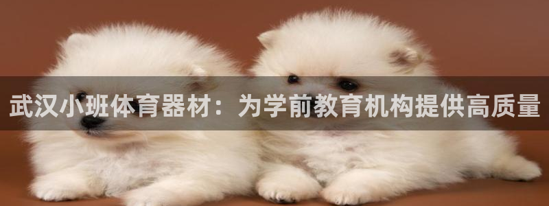 尊龙d88手机版下载：武汉小班体育器材：为学前教育机