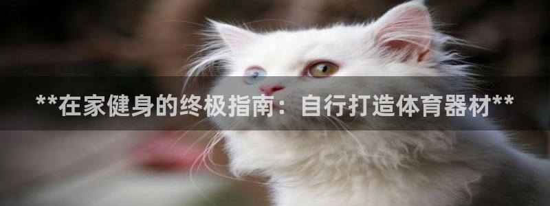 尊龙人生就是博d88官方网站：**在家健身的终极指南
