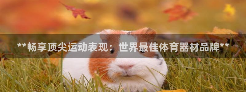 尊龙手机官方客户端下载安装：**畅享顶尖运动表现：世