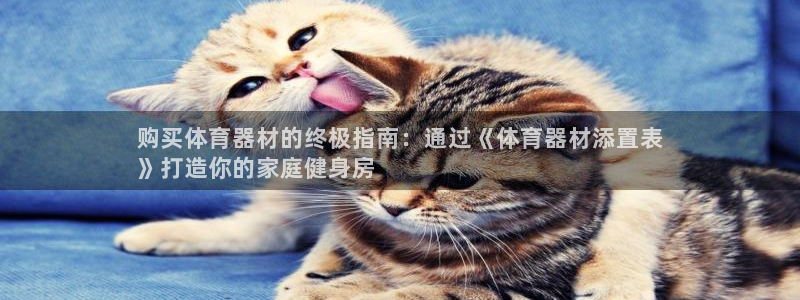 尊龙凯时logo：购买体育器材的终极指南：通过《体育