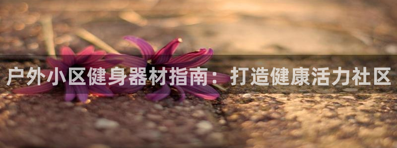 尊龙凯时口碑好吗：户外小区健身器材指南：打造健康活力
