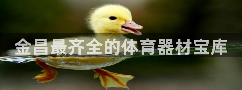 尊龙官网国际：金昌最齐全的体育器材宝库