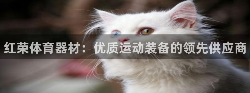 尊龙人生就是博旧版手机可靠送38元：红荣体育器材：优