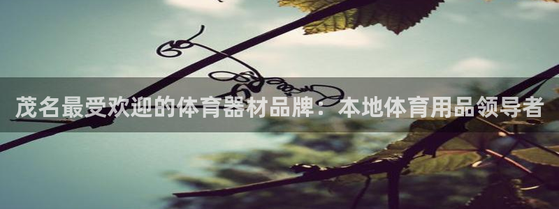 尊龙凯时下载人生就是博：茂名最受欢迎的体育器材品牌：