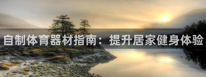 尊龙网站下分慢：自制体育器材指南：提升居家健身体验