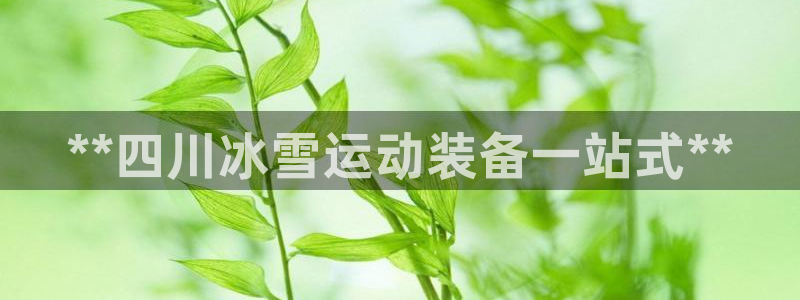 尊龙怎么没消息了：**四川冰雪运动装备一站式**