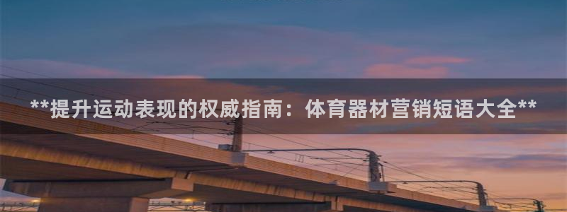 尊龙尊龙：**提升运动表现的权威指南：体育器材营销短