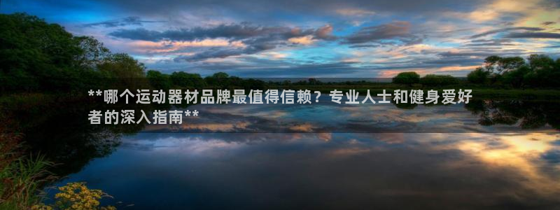 尊龙凯时和九游会哪个平台好一点：**哪个运动器材品牌