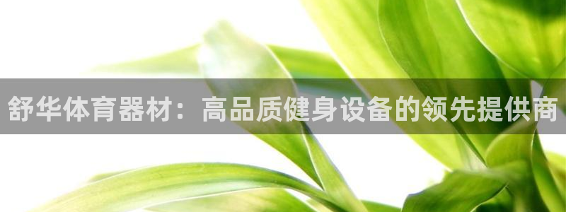 尊龙凯时游戏厅：舒华体育器材：高品质健身设备的领先提