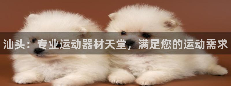 尊龙用现金娱乐一下下载旧：汕头：专业运动器材天堂，满