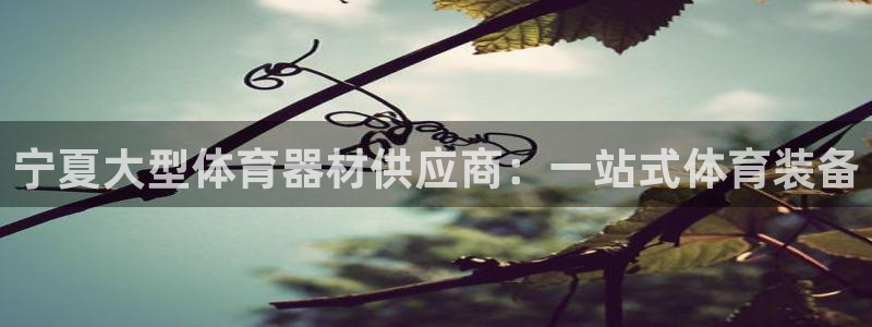 尊龙传奇英文怎么写：宁夏大型体育器材供应商：一站式体