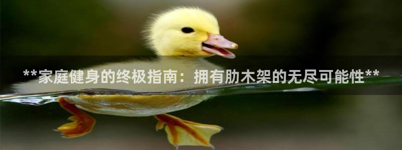 尊龙ag旗舰厅登陆：**家庭健身的终极指南：拥有肋木