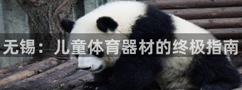 尊龙手机官方客户端下载安装：无锡：儿童体育器材的终极
