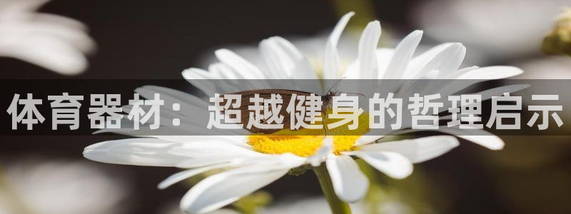 agz6尊龙凯时集团：体育器材：超越健身的哲理启示