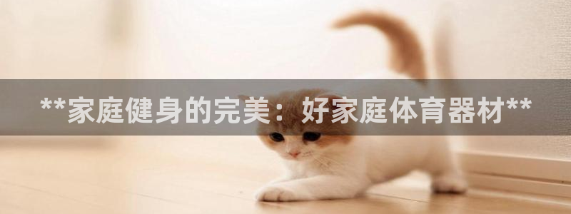 尊龙凯时为什么输了钱：**家庭健身的完美：好家庭体育