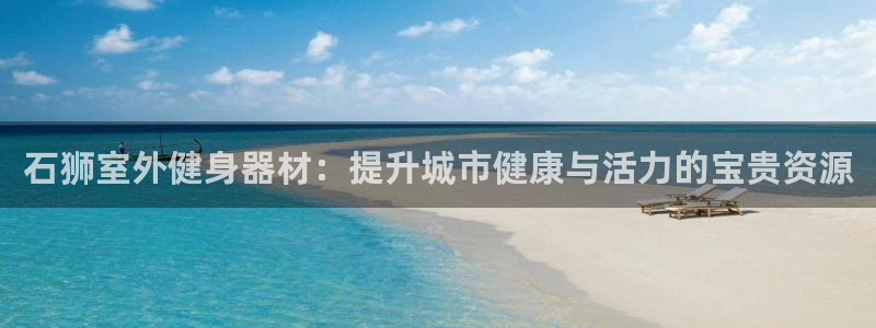尊龙AG旗舰厅APP：石狮室外健身器材：提升城市健康