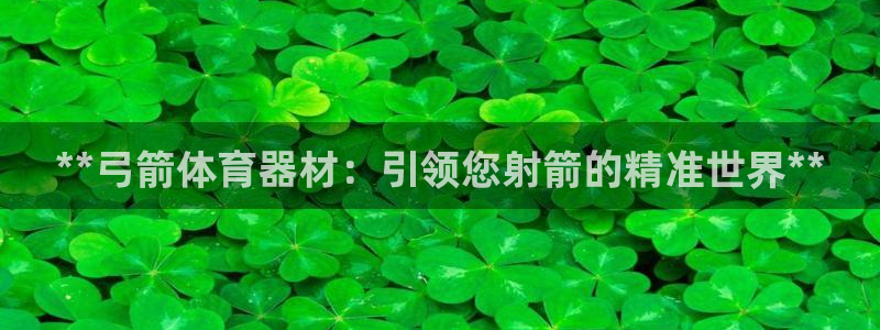 尊龙凯时平台正规吗：**弓箭体育器材：引领您射箭的精